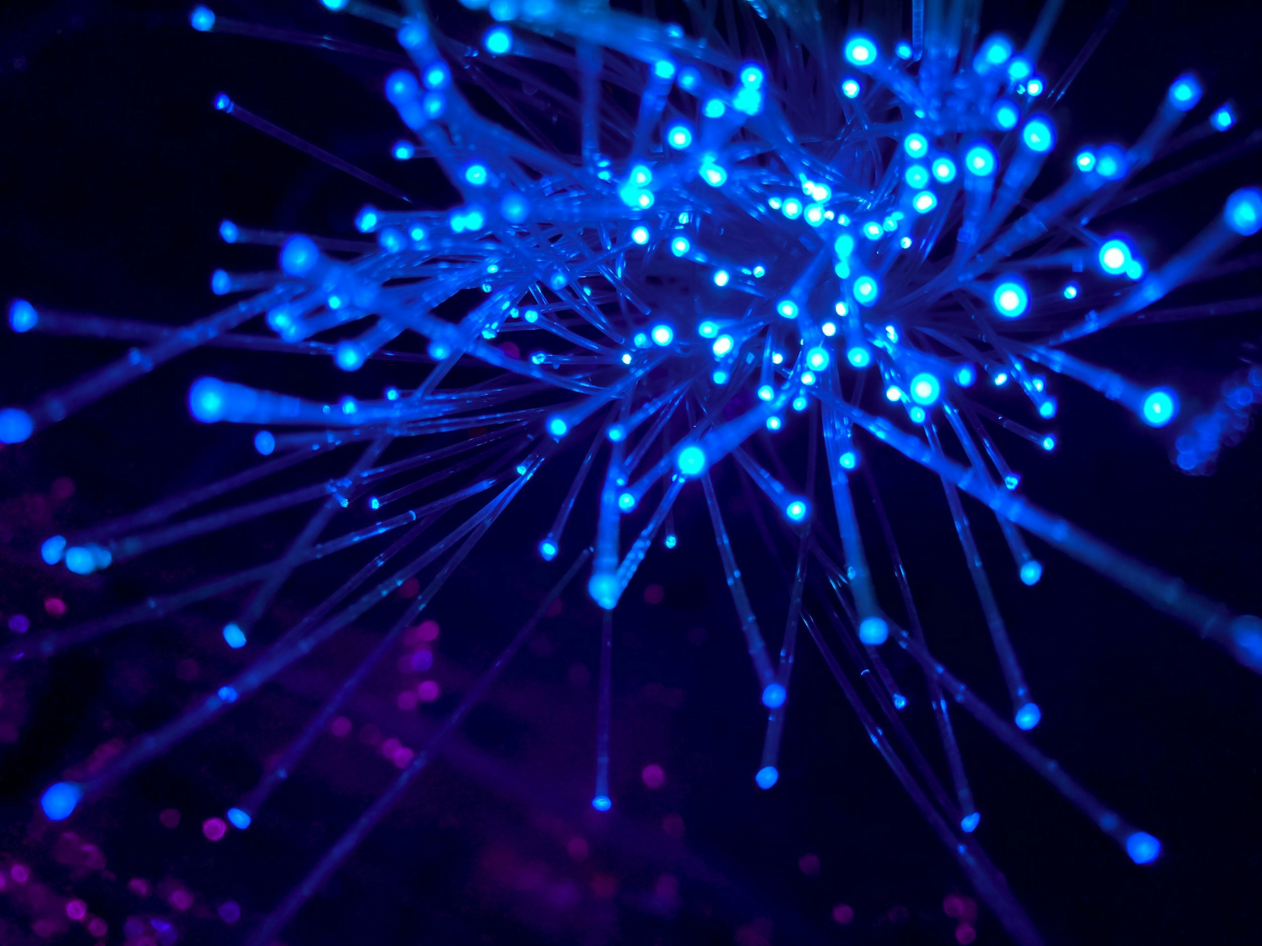 Optical Cabinets and Private Network Systems for Utilities
