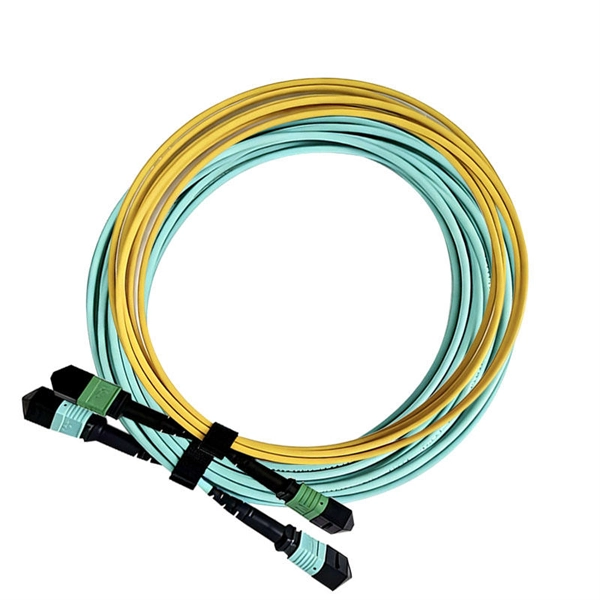 Iran 1 6T Optical Module 800G