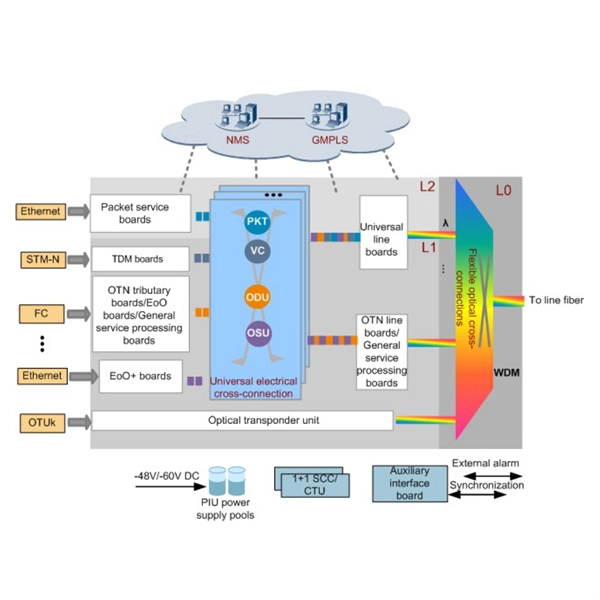 Are there optical module companies in Central Africa 